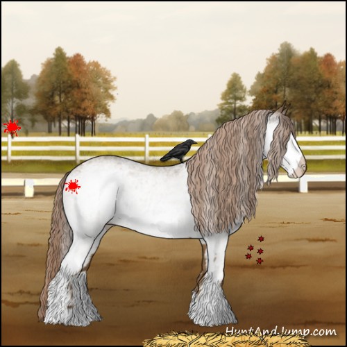 Horse Color:White Spotted Chocolate Palomino