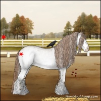 Horse Color:White Spotted Chocolate Palomino 