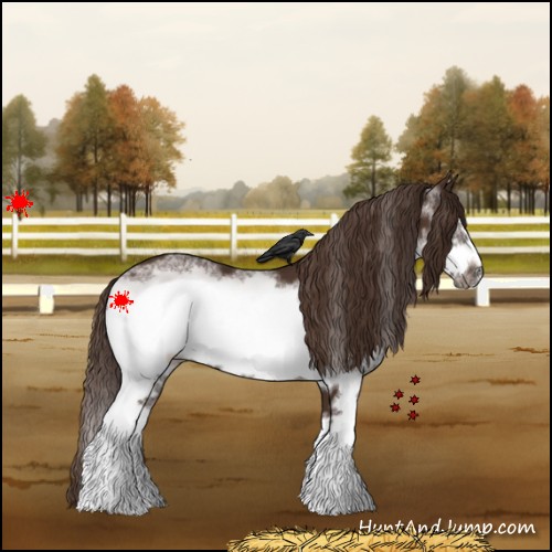 Horse Color:White Spotted Liver Chestnut Splash Frame