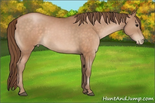 Horse Color:Brown Pearl