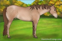 Horse Color:Brown Pearl 