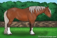 Horse Color:Silver Bay 
