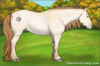 Horse Color:Buckskin Pearl Dun 