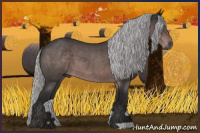 Horse Color:Gray Platinum Silver Bay Roan 