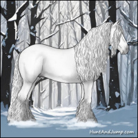 Horse Color:Gray Smoky Black 