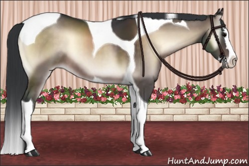 Horse Color:Brown Onyx Splash Tobiano 