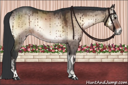 Horse Color:Brown Onyx Rabicano