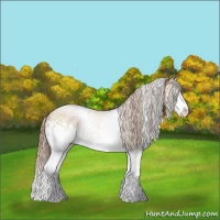 Horse Color:White Spotted Brown Pearl Sabino Splash