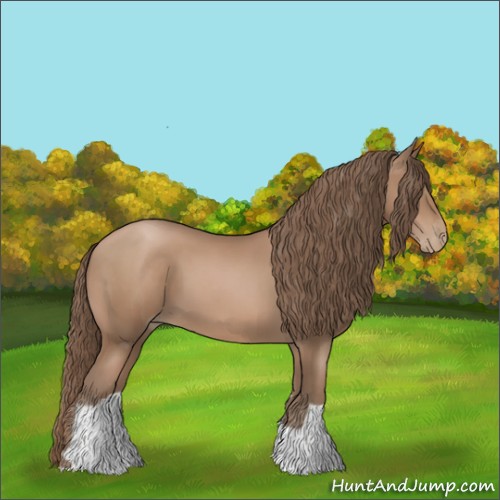 Horse Color:Black Pearl