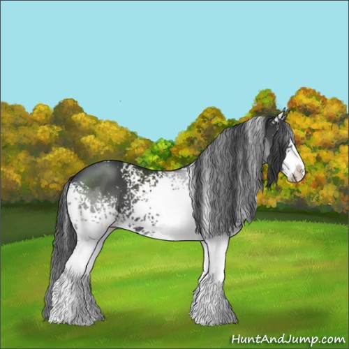 Horse Color:White Spotted Black Sabino