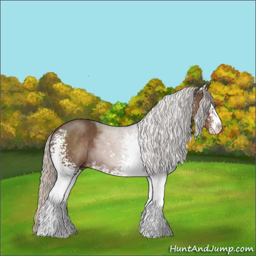 Horse Color:White Spotted Silver Black Sabino 