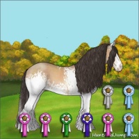 Horse Color:White Spotted Sable Champagne 