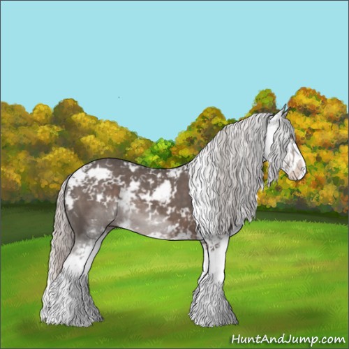 Horse Color:Silver Black Sabino 