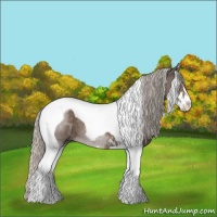 Horse Color:Silver Black Sabino Tobiano