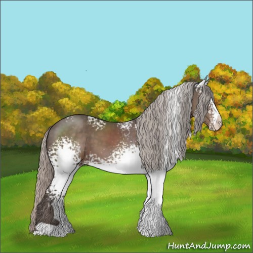 Horse Color:White Spotted Silver Black