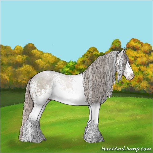 Horse Color:White Spotted Silver Black Sabino