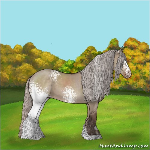 Horse Color:White Spotted Silver Grullo Sabino