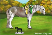 Horse Color:White Spotted Silver Black 