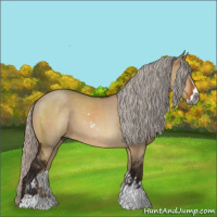 Horse Color:Gray Silver Bay Dun Sabino 