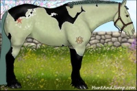 Horse Color:Watercolor Buckskin Tobiano Appaloosa
