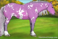 Horse Color:Watercolor White Spotted Silver Bay Rabicano 