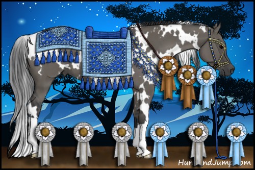 Horse Color:White Spotted Grullo 