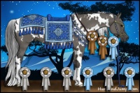 Horse Color:White Spotted Grullo