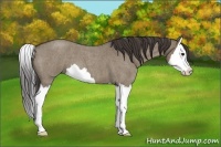 Horse Color:Smoky Grullo Roan Sabino Splash 