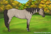 Horse Color:Smoky Grullo Roan 