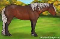 Horse Color:Silver Brown 