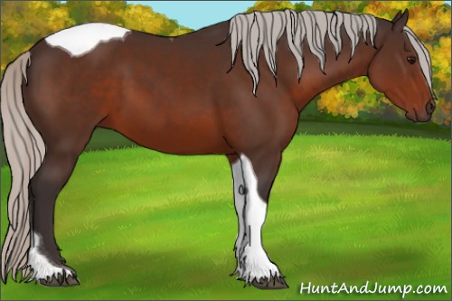 Horse Color:Silver Brown Tobiano 