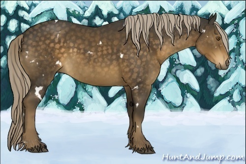 Horse Color:White Spotted Chocolate Palomino Rabicano 