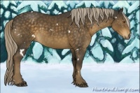 Horse Color:White Spotted Chocolate Palomino Rabicano 