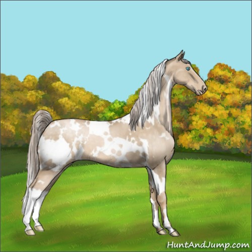 Horse Color:White Spotted Chocolate Palomino Pearl 