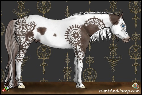 Horse Color:Liver Chestnut Splash Tobiano Frame Appaloosa 