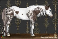 Horse Color:Liver Chestnut Splash Tobiano Frame Appaloosa