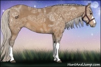 Horse Color:Silver Buckskin Ice 