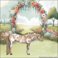 Horse Color:White Spotted Liver Chestnut Pearl Appaloosa