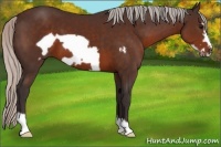 Horse Color:Silver Brown Frame 
