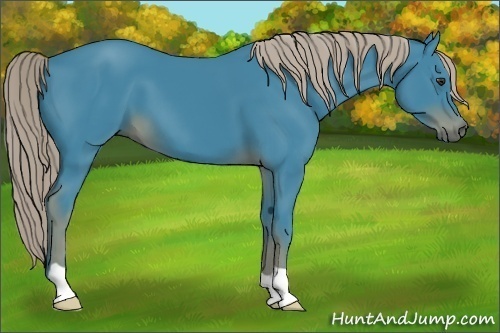 Horse Color:Watercolor Liver Chestnut 