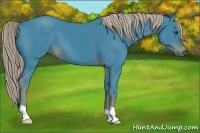 Horse Color:Watercolor Liver Chestnut 