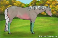 Horse Color:Watercolor Silver Bay
