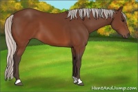 Horse Color:Silver Brown 