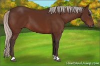 Horse Color:Silver Brown 