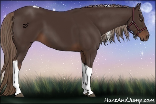 Horse Color:Liver Chestnut Tobiano 
