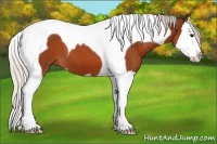 Horse Color:Silver Bay Splash Tobiano