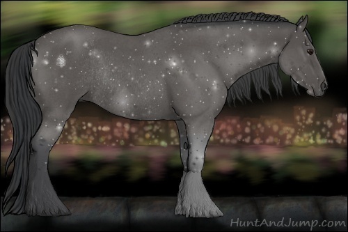 Horse Color:Blue Roan Rabicano 