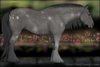 Horse Color:Blue Roan Rabicano 