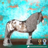 Horse Color:Silver Blue Onyx Appaloosa 
