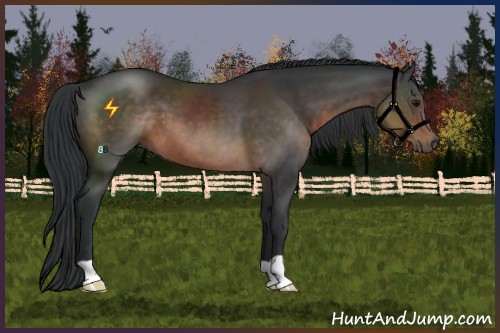 Horse Color:Brown 